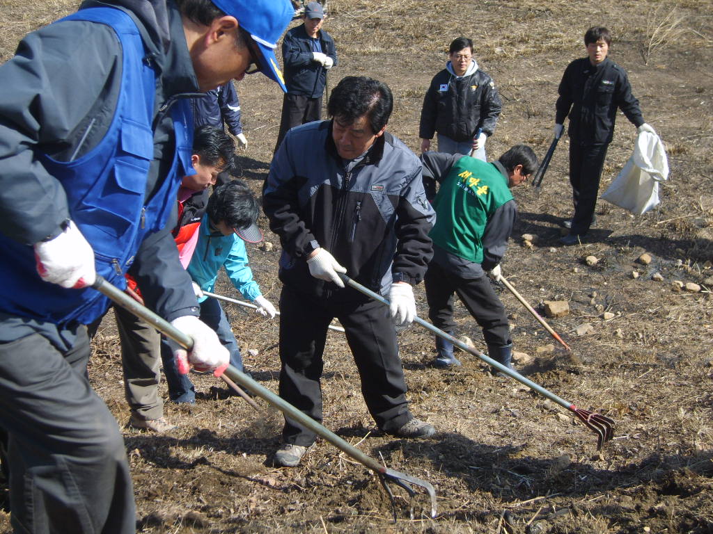 2009퇴계동가꾸미사업추진