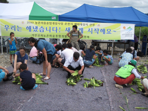 제1회 옥수수 탑쌍기 체험
