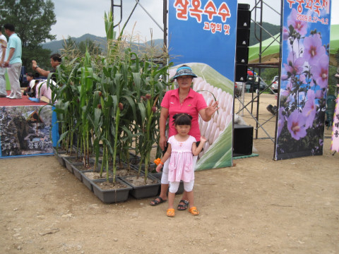 제13회 홍천옥수수축제 방문