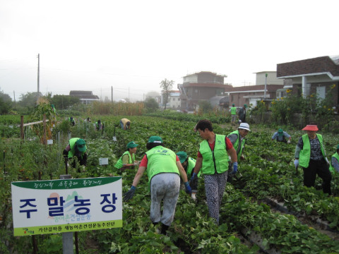 가산골마을 새/농 주말농장관리