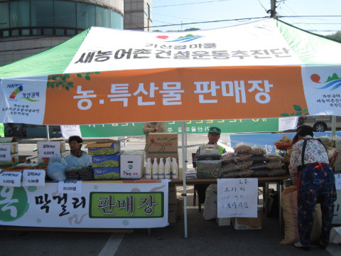 제1회 비타민나무 축제장 주변의 이모 저모
