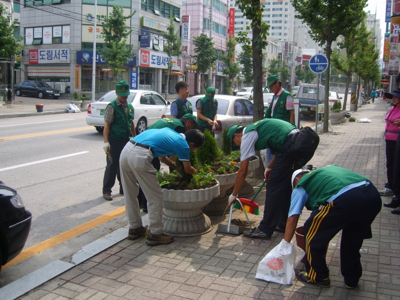 퇴계동 새마을단체 가로변 꽃 심기