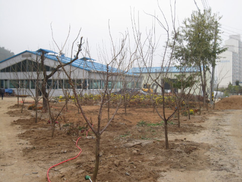 가산골마을 게이트볼장 주변 경관조성