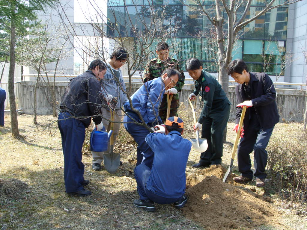 2010 나무심기 행사