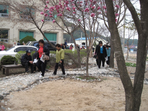 강릉시 풍호마을 새/농추진단 견학