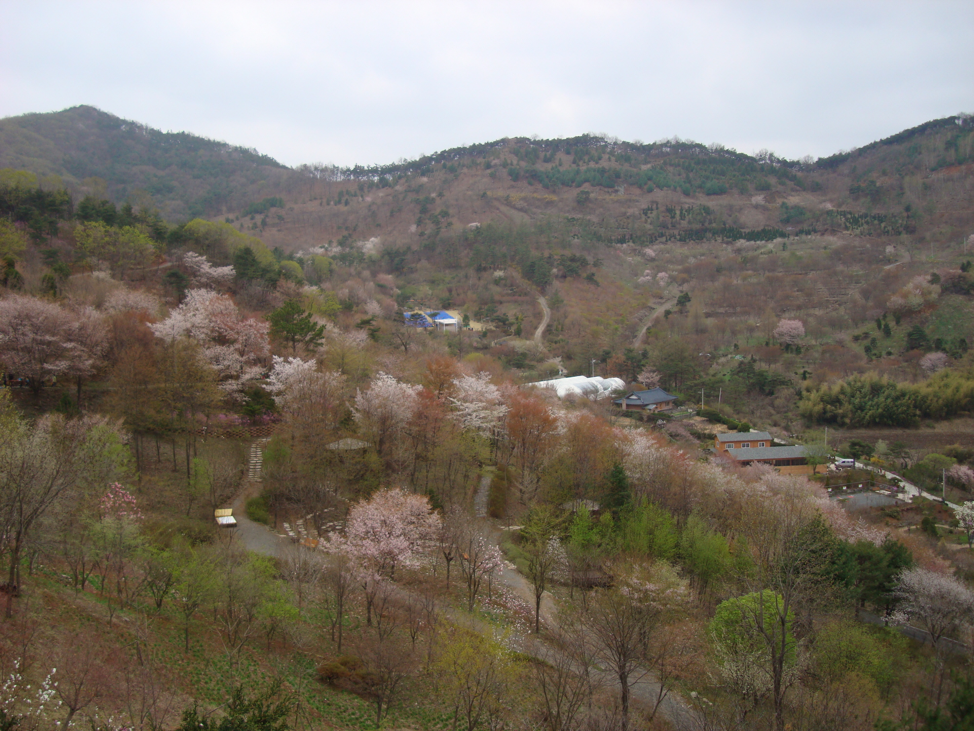 가/농/추 고운식물원 견학