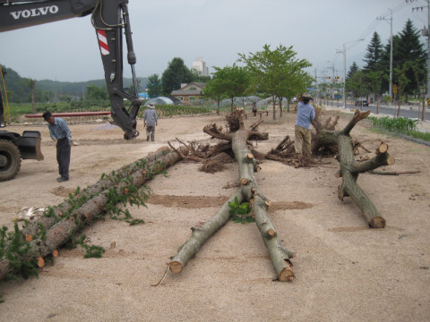 가산권역 