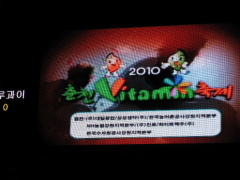 2010 춘천비타민축제 길거리 홍보