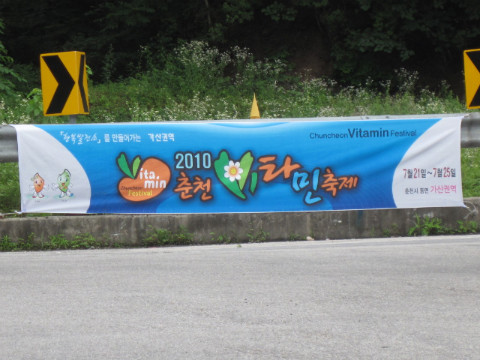 2010춘천 비타민축제 홍보