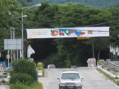 2010춘천 비타민축제 홍보