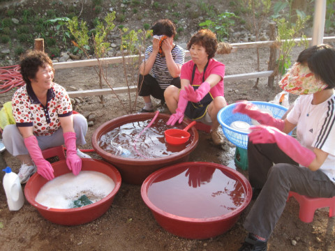 가산권역 2010춘천비타민축제 준비 화합의장