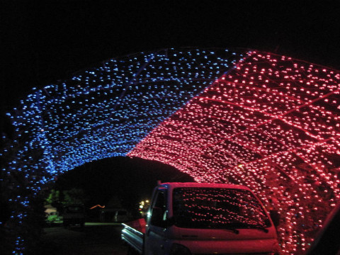 2010.춘천비타민축제장 준비