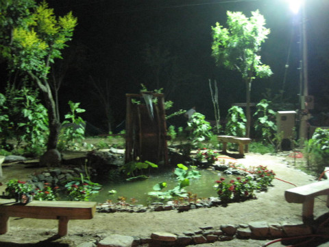 2010춘천비타민축제장