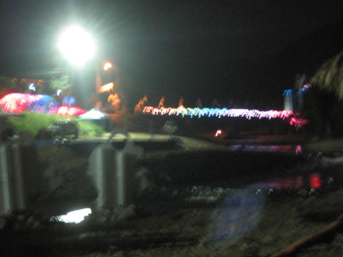 2010춘천비타민축제장