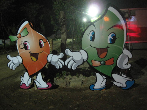2010춘천비타민축제장