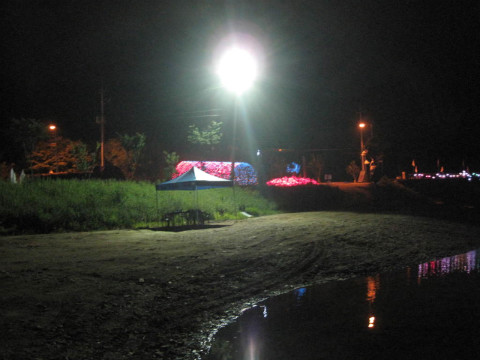 2010춘천비타민축제장