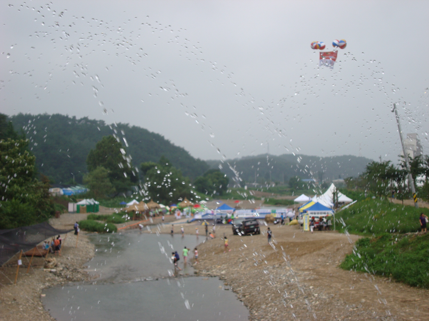 춘천비타민축제  장