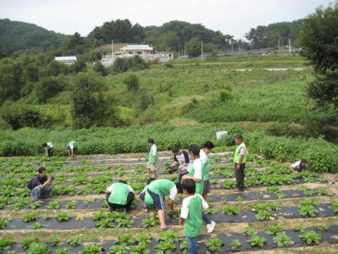 금옥골마을 자매결연식및 농촌체험관광