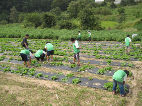 금옥골마을 자매결연식및 농촌체험관광