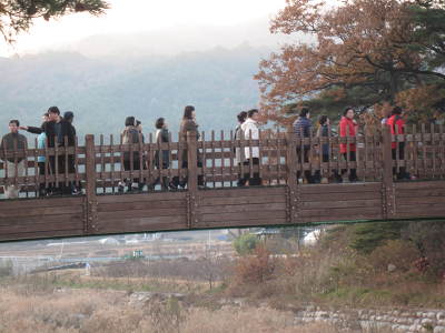 가농추 강릉 모래내권역 견학