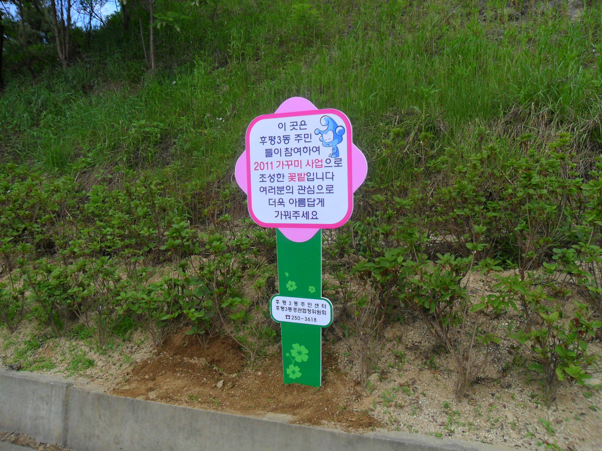 가꾸미사업장 안내 표지판 설치