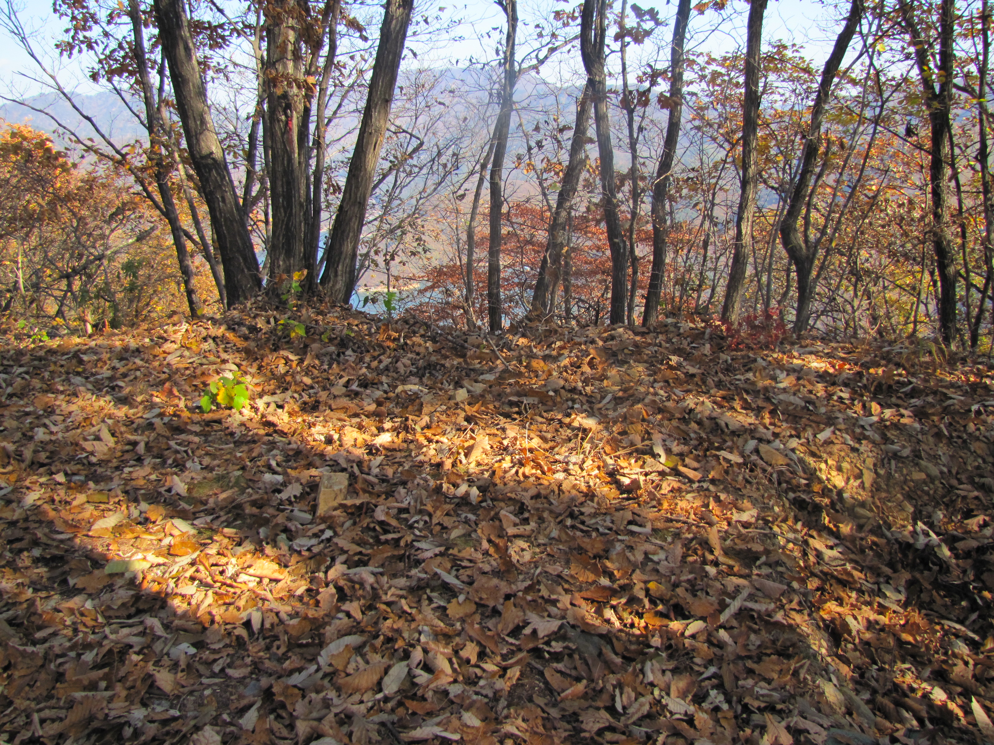 마적산 등산로 2