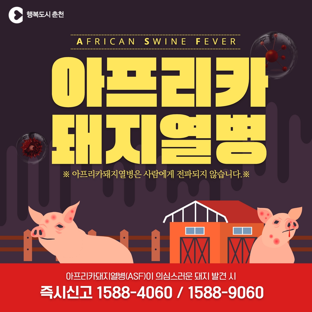 아프리카돼지열병(ASF) 예방! 방역수칙 준수에서 시작!