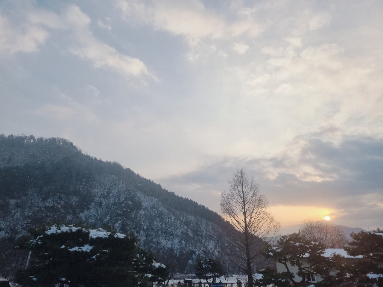 남면의 겨울