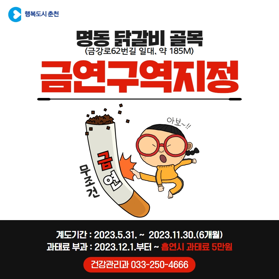 명동 닭갈비 골목 금연구역 지정
