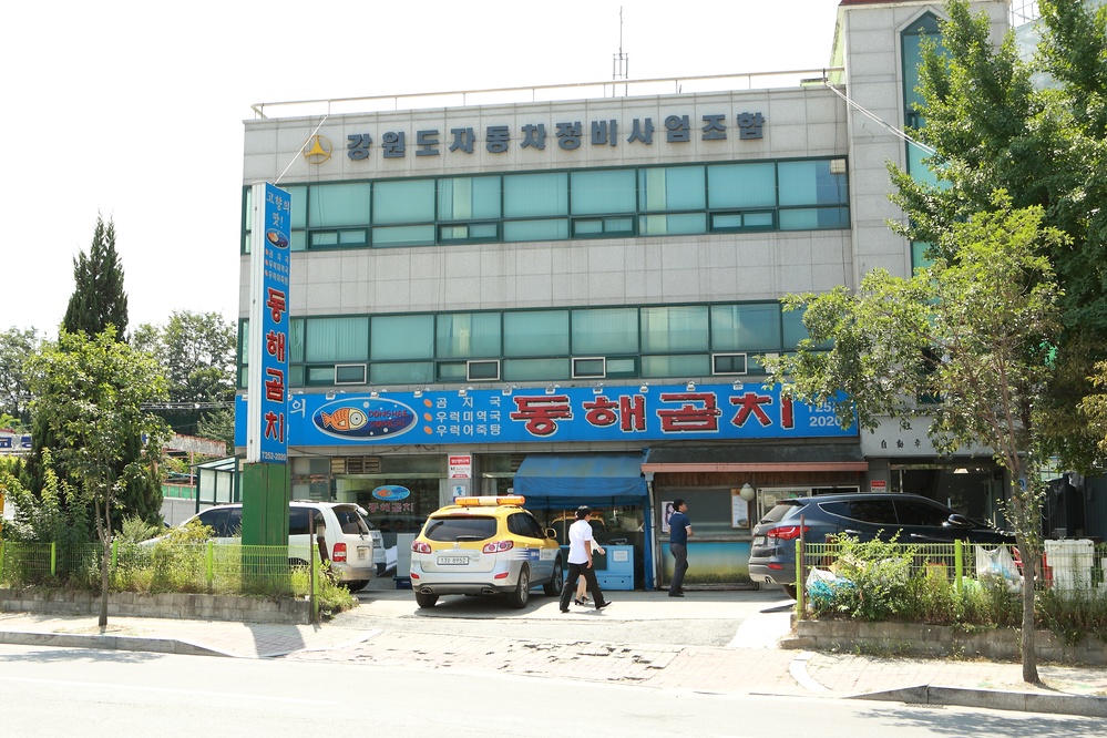 동해곰치