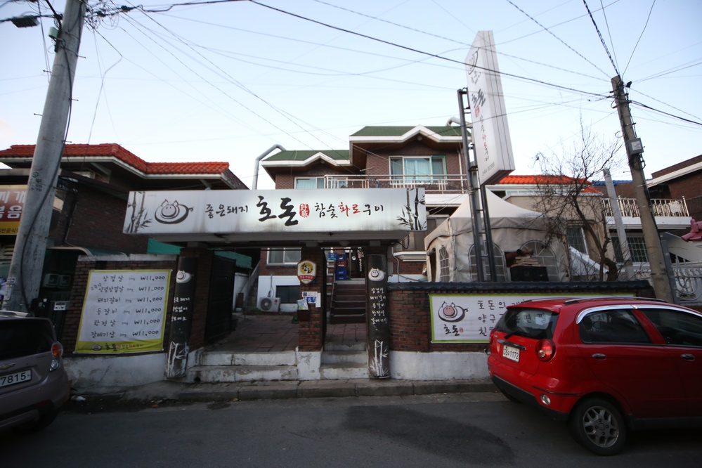 호돈