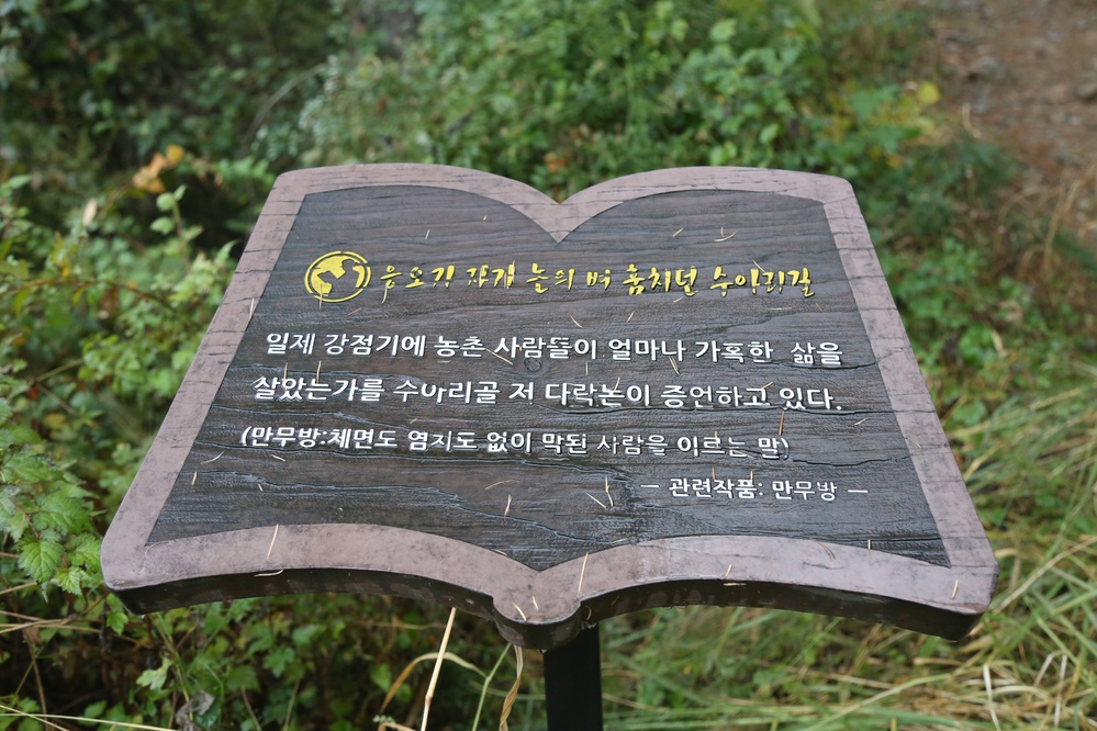 봄내길 1코스