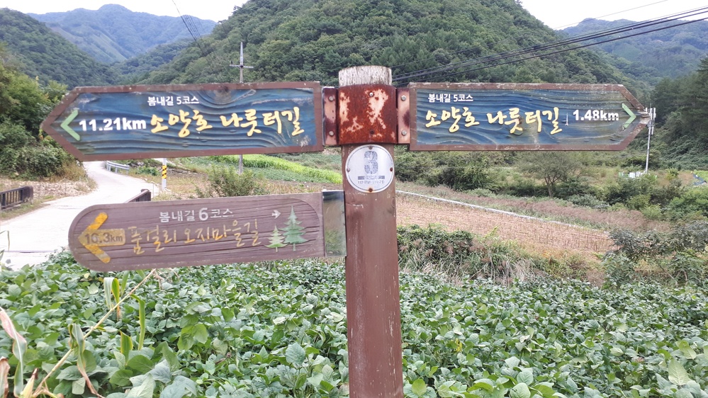 봄내길 5코스
