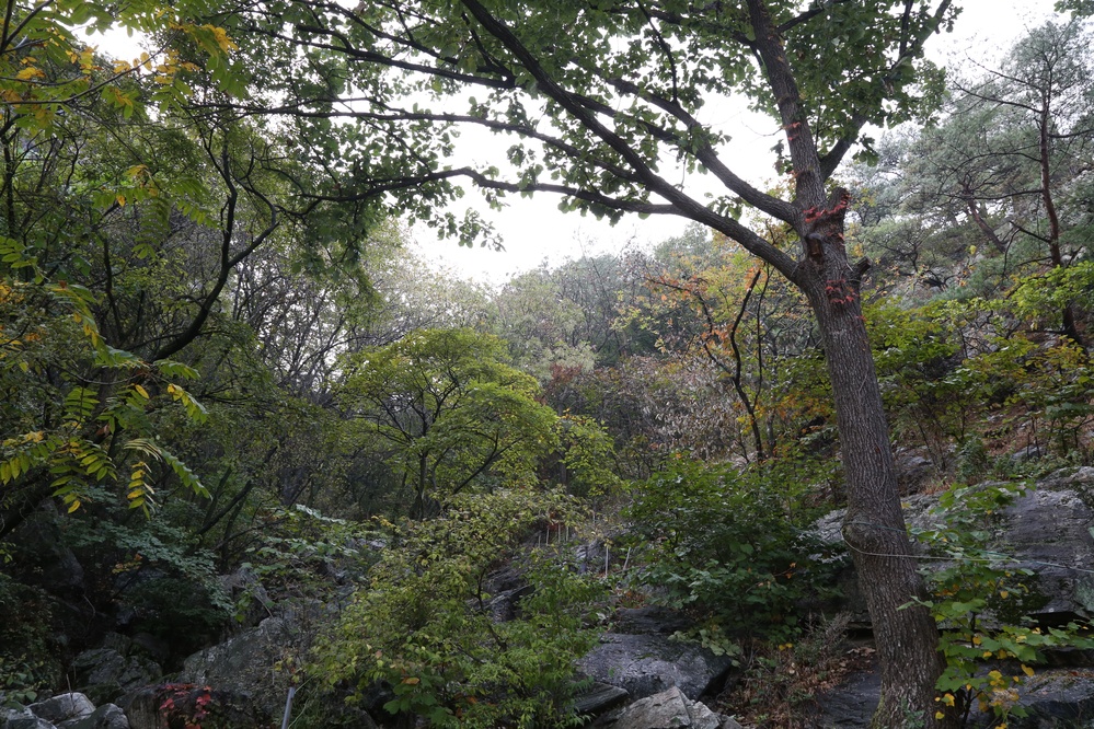 삼악산