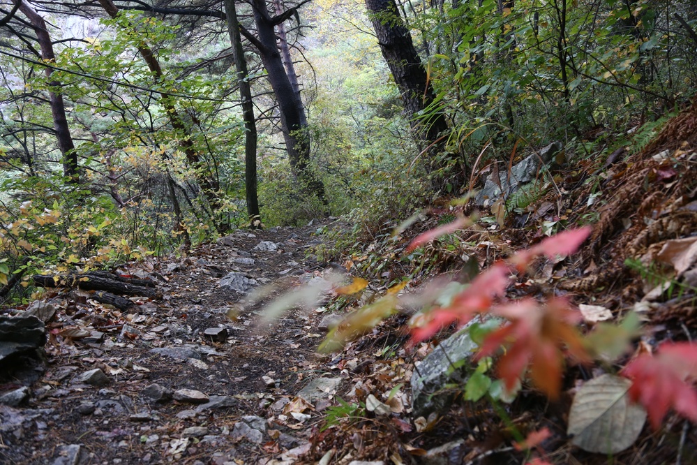 삼악산