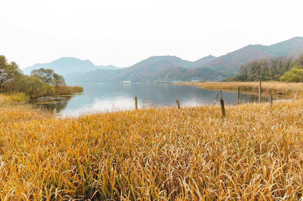 하중도생태수변공원_02