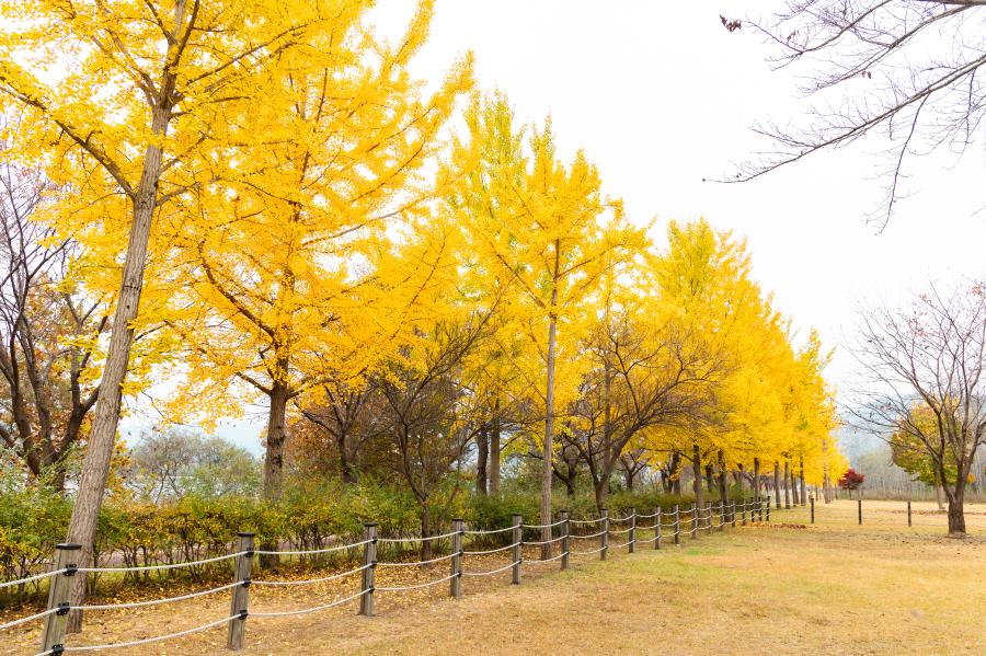 하중도생태수변공원_04