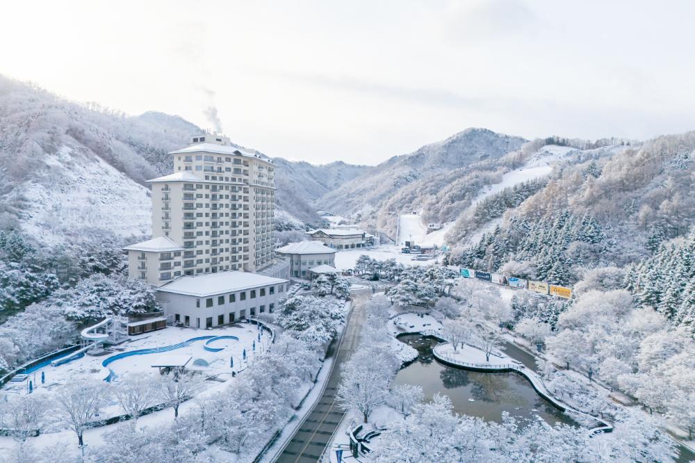 엘리시안강촌2