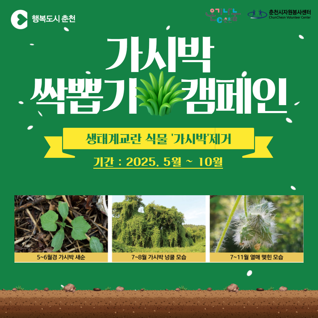 춘천 가시박 싹뽑기 캠페인 참여 안내