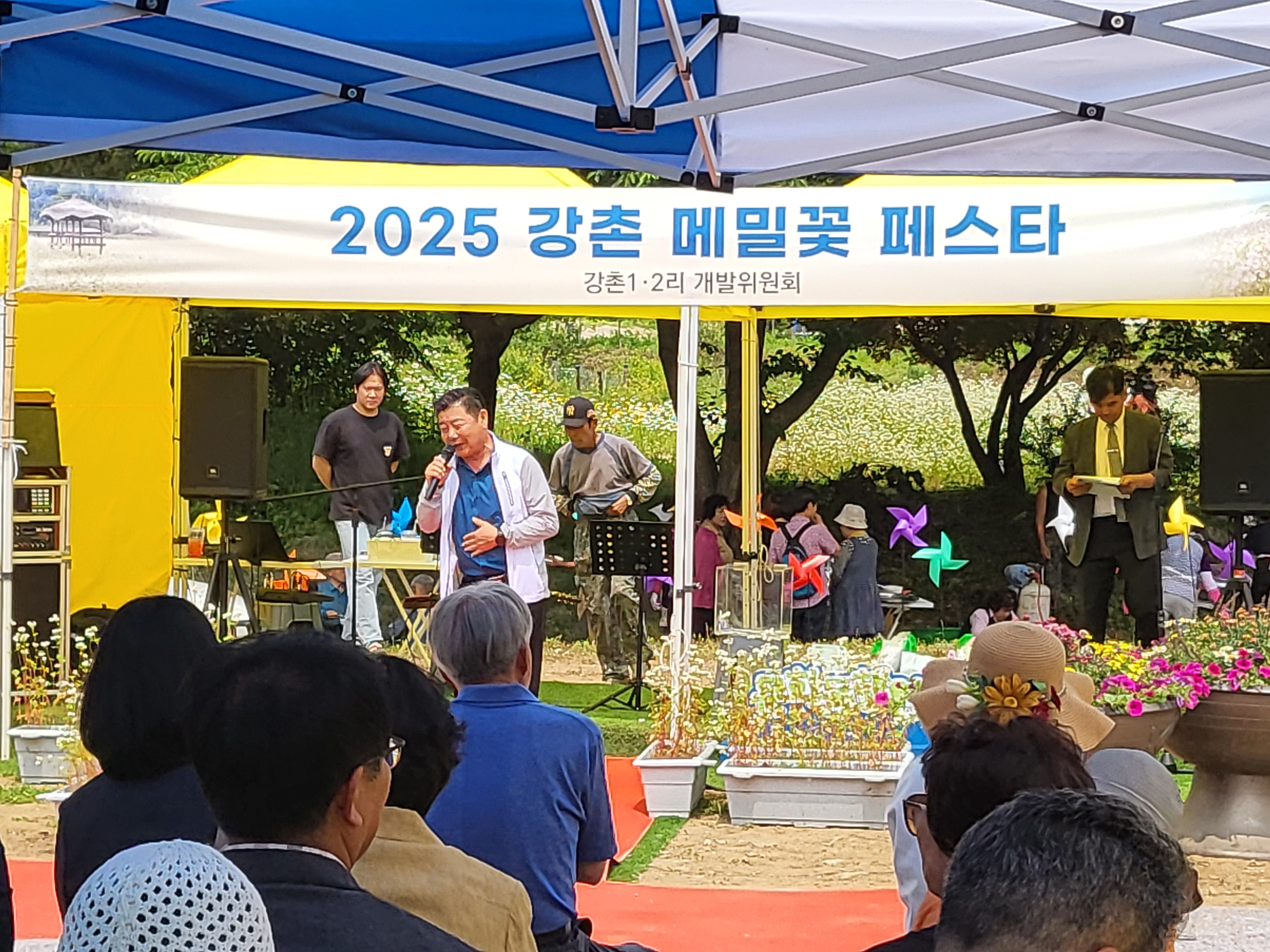 강촌 메밀꽃 페스타 개최