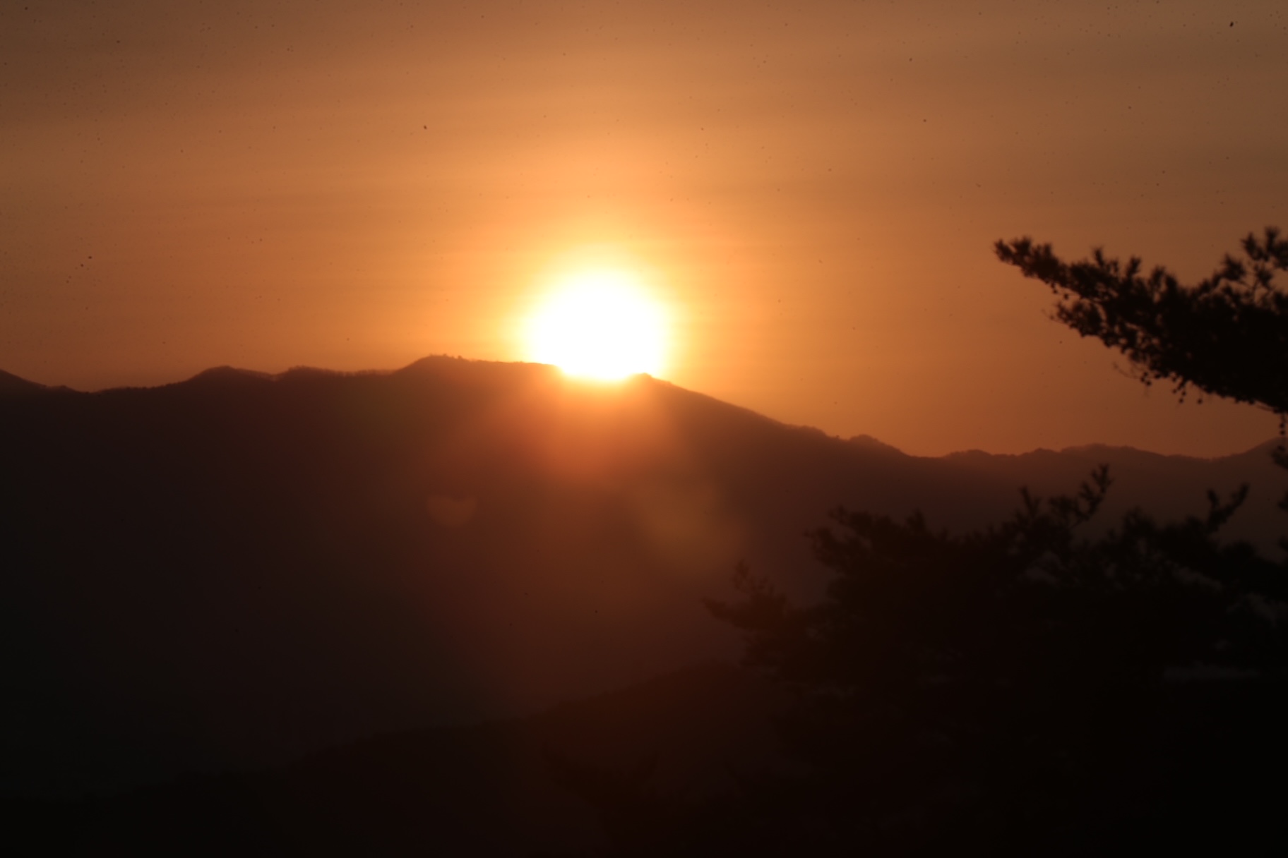 ‘승세등비(乘勢騰飛)’하는 병오년 한 해를 기원합니다