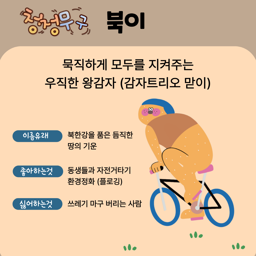 마지막 캐릭터는 청정무구 북이, 묵직하게 모두를 지켜주는 우직한 왕감자 (감자트리오 맏이), 이름유래는 북한강을 품은 듬직한 땅의 기운, 좋아하는 것은 동생들과 자전거타기, 환경정화(플로깅), 싫어하는것은 쓰레기 마구 버리는 사람입니다.