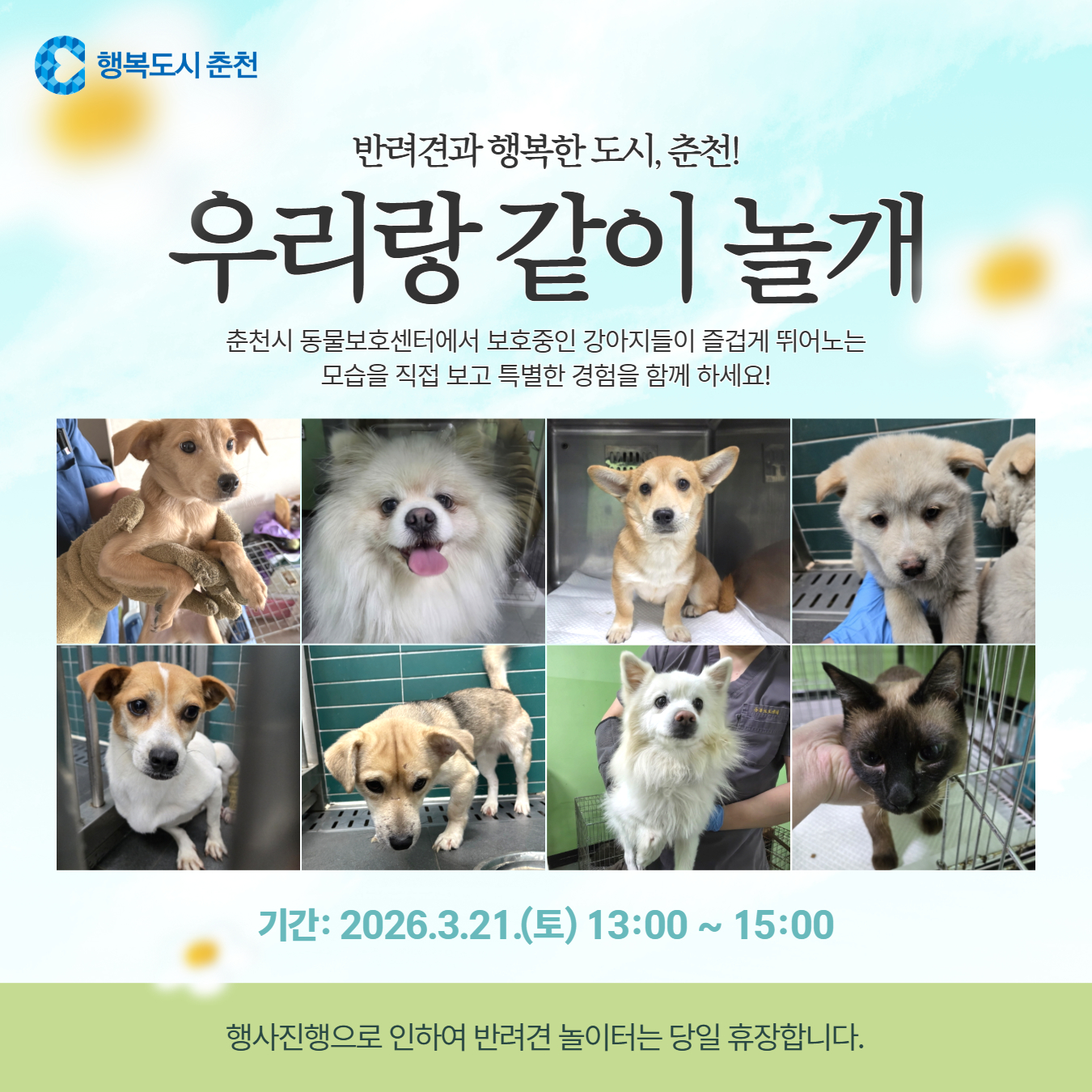 ［춘천시 동물보호센터 입양행사］우리랑 같이놀개