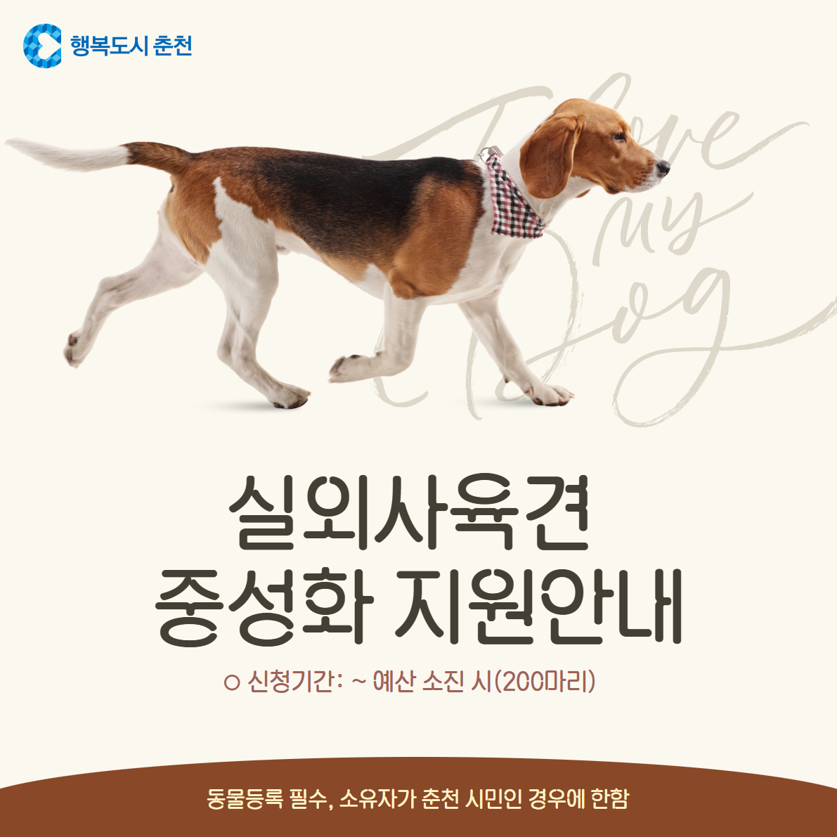 2026 실외사육견 중성화 지원 안내