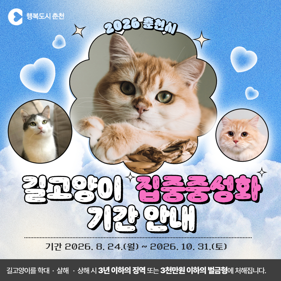 2026년도 길고양이 집중중성화 기간 안내