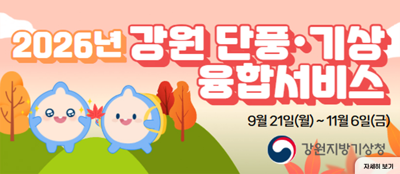 2026 강원 단풍.기상 융합서비스