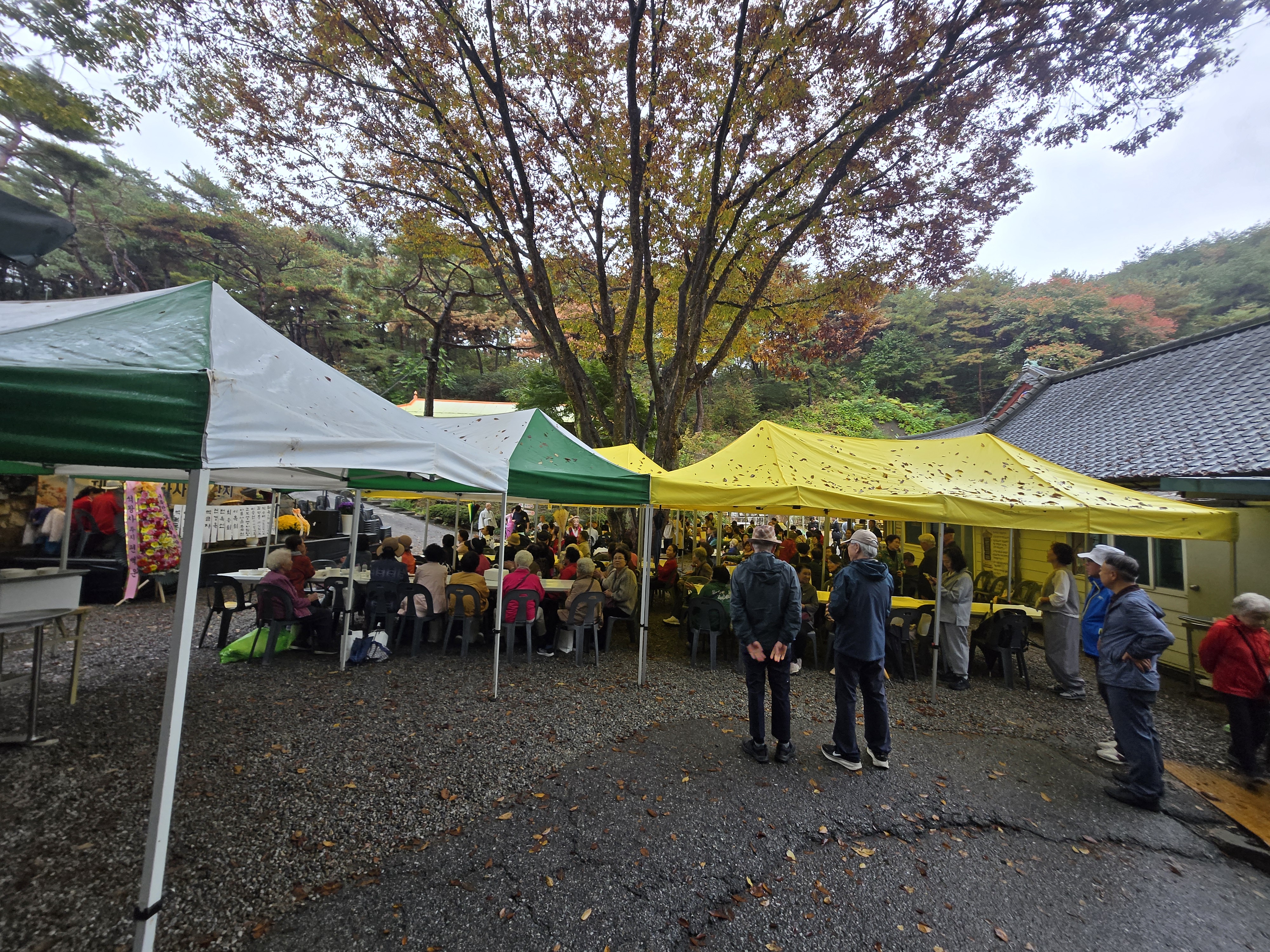 보타사 효잔치 개최