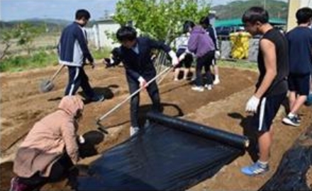 학교 4-H 화단가꾸기