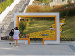 강아지숲 사진